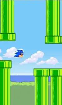 Floppy Sonic Bird Angry Screen Shot 0