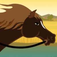 Horse Racing - Animal Doctor