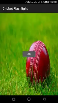 क्रिकेट फ्लैश लाइट Screen Shot 0