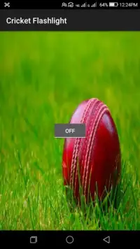 क्रिकेट फ्लैश लाइट Screen Shot 1