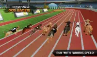 Fast Dog Racing 3D Screen Shot 2