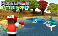 Pixelmon Mod Battle World Screen Shot 2