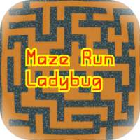 Maze Run Ladybug