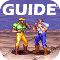 Guide For Cadillacs