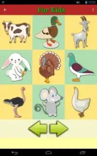 Animals Colors Games for Kids Screen Shot 6