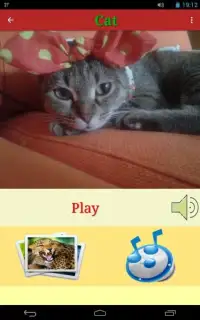 Animals Colors Games for Kids Screen Shot 5