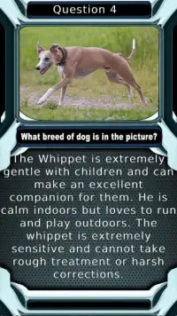 Dog Breed Animal Quiz Game Screen Shot 0