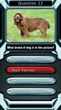 Dog Breed Animal Quiz Game Screen Shot 3