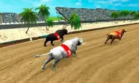 Angry Bull Racing Fever Screen Shot 2