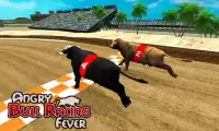 Angry Bull Racing Fever Screen Shot 0