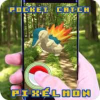 Pocket catch Pixelmon
