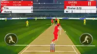 Play Cricket Screen Shot 2