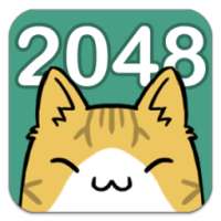 Cat 2048