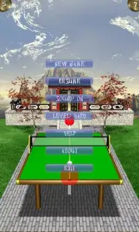 Zen Table Tennis Lite Screen Shot 1
