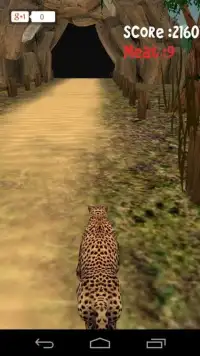 Animal Run :Cheetah 3D Screen Shot 11
