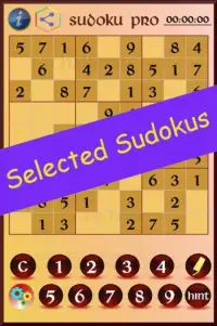 Sudoku Pro Screen Shot 15