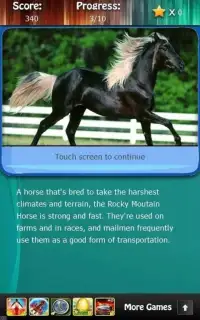 Horse Breeds & Pony Quiz HD Screen Shot 1