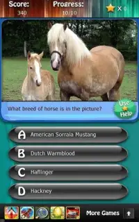 Horse Breeds & Pony Quiz HD Screen Shot 2