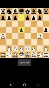 Chess Pro Screen Shot 0