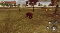 Angry Bear Simulator 3D - Be a Bear Game Screen Shot 4