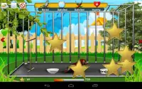Parrot Pet Shop -Bird pet game Screen Shot 2