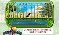 Parrot Pet Shop -Bird pet game Screen Shot 9
