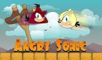 Angry Sonic Aventure - Ninja Screen Shot 0