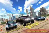 Limo Taxi Car Driving Simulator : Public Transport Screen Shot 2