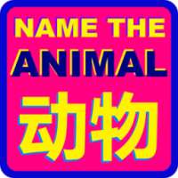 Animal in Chinese Quiz