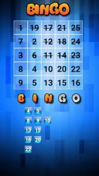 Bingo Game:2 Player Game Screen Shot 1
