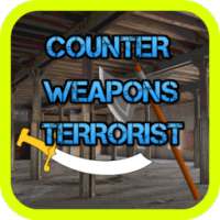 Counter Weapons Terrorist