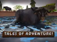 Wild Buffalo Simulator 3D Screen Shot 6