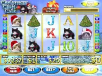 Christmas Cash Cats FREE Slots Screen Shot 8
