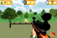 Sniper 3D Bottle Shoot Screen Shot 3