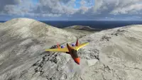 PicaSim: Free flight simulator Screen Shot 0