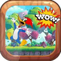 Adventure Woody World Run woodpecker