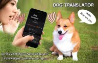 Dog Translator Simulator Screen Shot 3