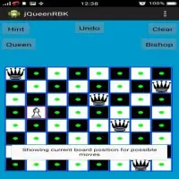 Chess Queen,Rook,Bishop & Knight Problem Screen Shot 15