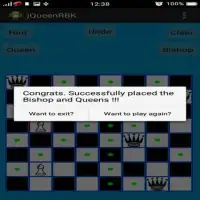 Chess Queen,Rook,Bishop & Knight Problem Screen Shot 16