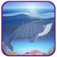 Anti Blue Whale Challenging Game
