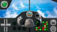 Flight plane 3D simulator Screen Shot 0
