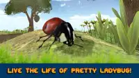 Ladybug Insect Simulator 3D Screen Shot 3
