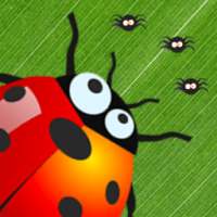 Ladybug Invasion