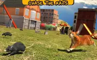 Street Cat Sim 2016 Screen Shot 8