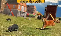 Street Cat Sim 2016 Screen Shot 13