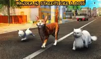 Street Cat Sim 2016 Screen Shot 2