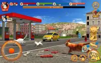 Street Cat Sim 2016 Screen Shot 5