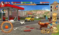 Street Cat Sim 2016 Screen Shot 10