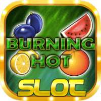 Burning Hot Slot