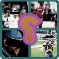 Guess the cricketers